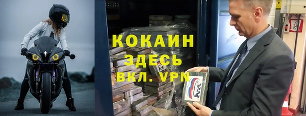 прущие грибы Осташков
