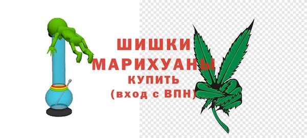 индика Осинники