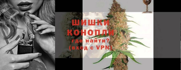 индика Осинники
