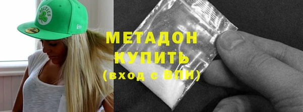 индика Осинники