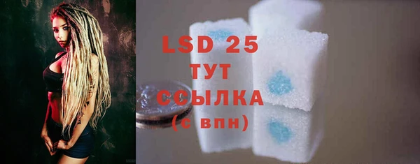 прущие грибы Осташков