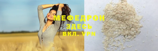 индика Осинники