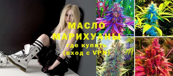 индика Осинники