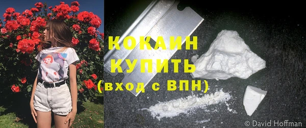 прущие грибы Осташков