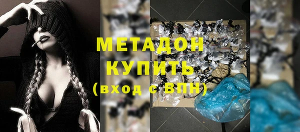 индика Осинники