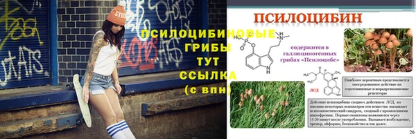 прущие грибы Осташков