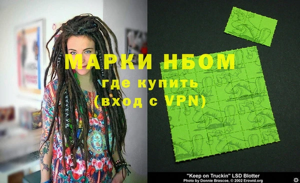 прущие грибы Осташков