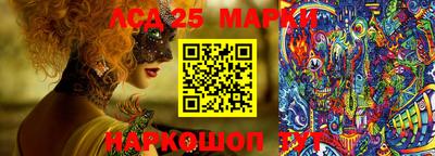 шишки Аргун