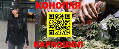 шишки Аргун