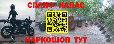 прущие крисы Ирбит
