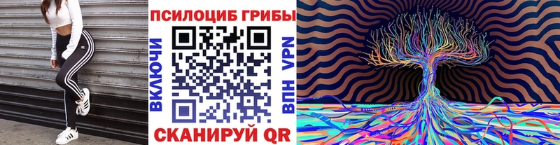 Галлюциногенные грибы GOLDEN TEACHER  Сарапул 