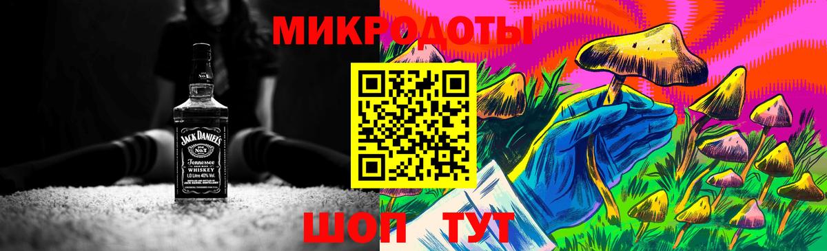 Псилоцибиновые грибы Psilocybe Сарапул