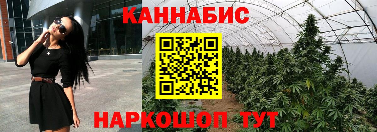 Конопля OG Kush Сарапул